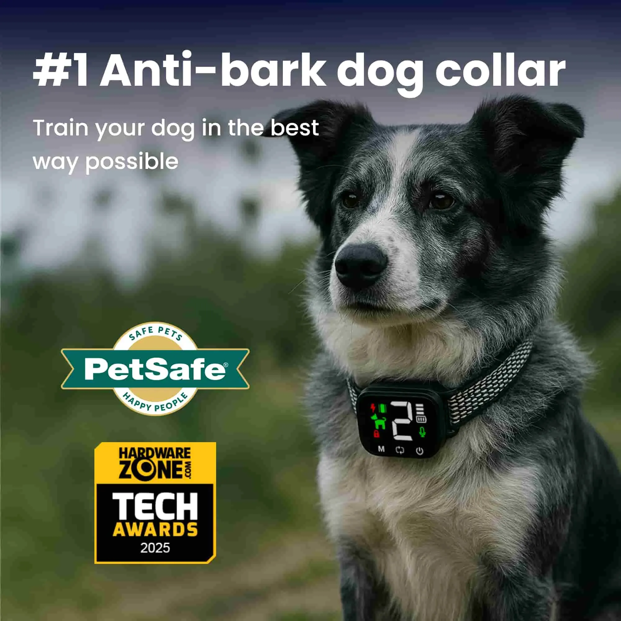 NooBark smart anti-bark dog collar